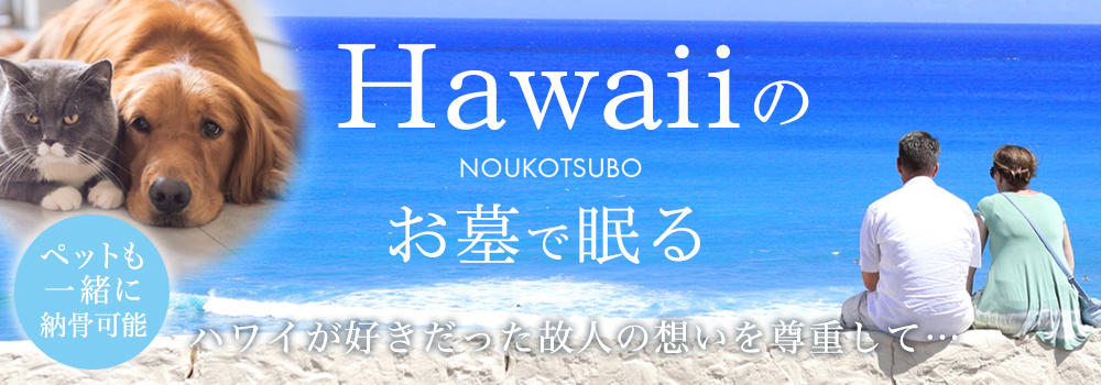 のうこつぼハワイ