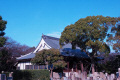 大寶寺の写真