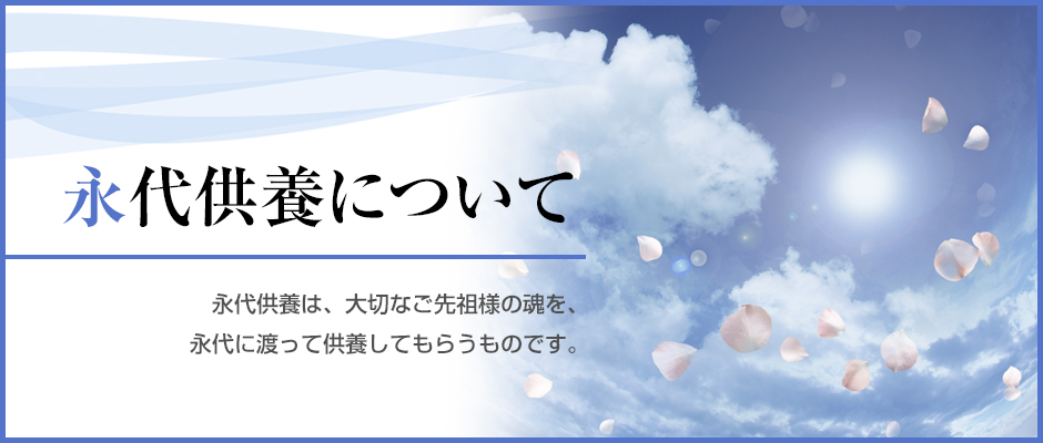のうこつぼとは