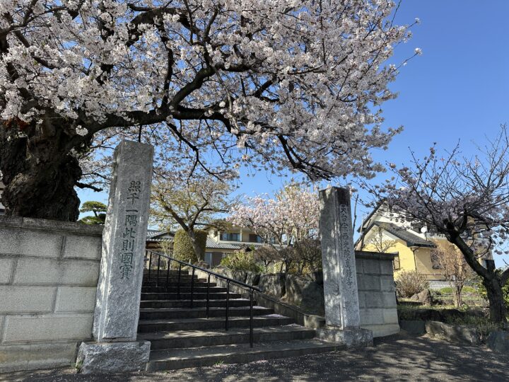真鏡寺(しんきょうじ)
