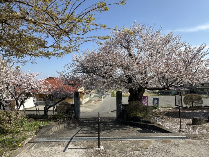 真鏡寺(しんきょうじ)