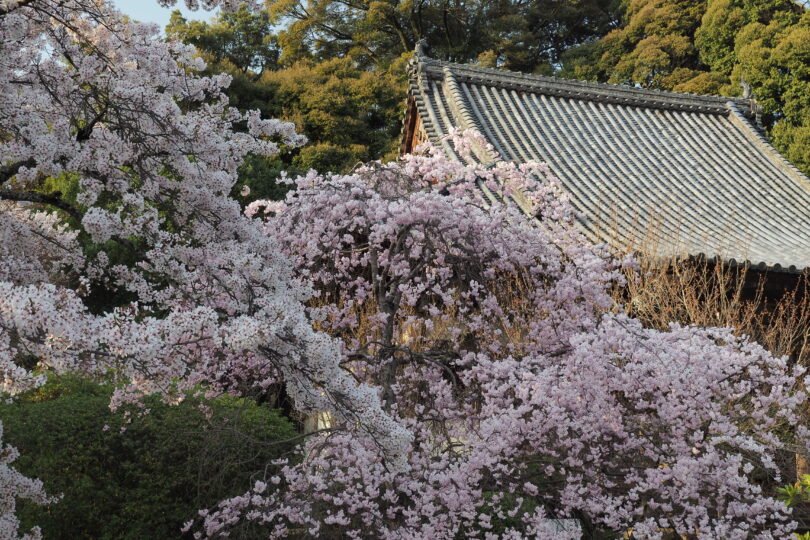 長岳寺（ちょうがくじ）