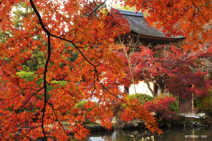 長岳寺（ちょうがくじ）
