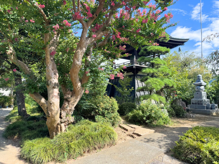寳樹院（ほうじゅいん）