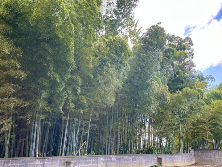 平源寺（へいげんじ）