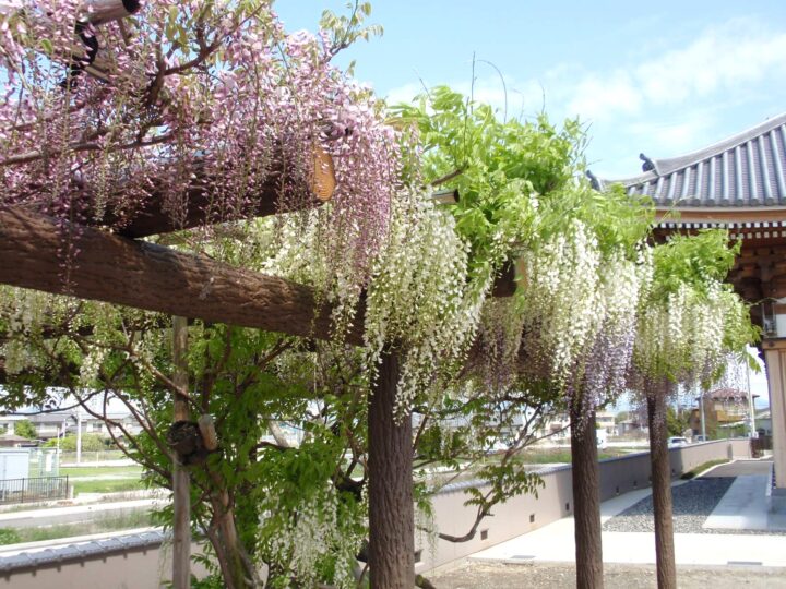 法永寺(ほうえいじ)
